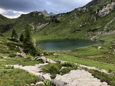 Lobhrner und Sulseeli